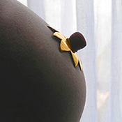 Large flower non-piercing nipple shields in gold plating.