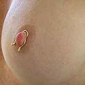 Adjustable non-piercing nipple clips in 24ct gold plating.